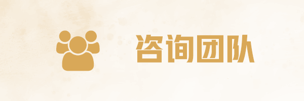 专业的咨询团队